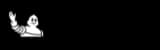 Michelin logo