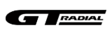 Logo de GT